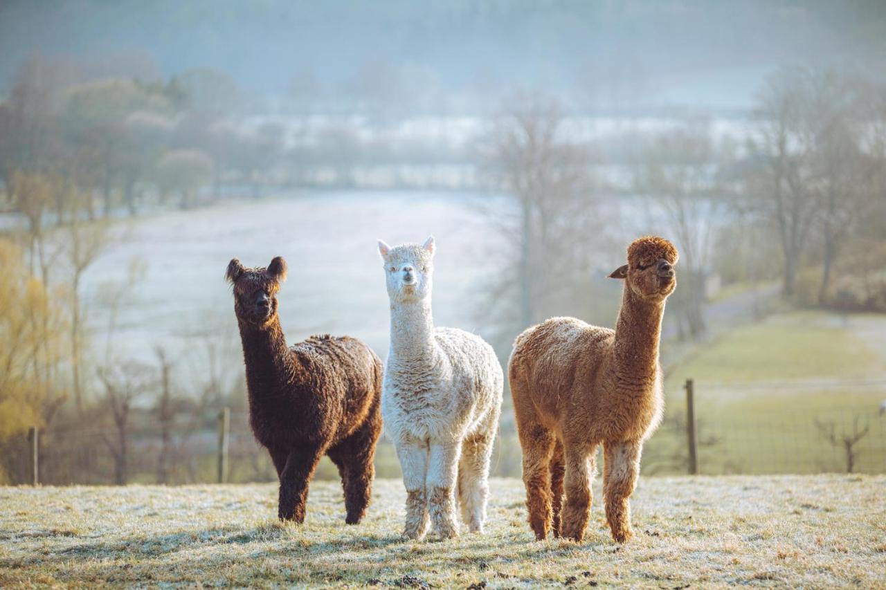 Shabby Shepherds Penrith Buitenkant foto